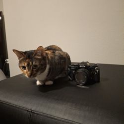 Ricoh Xr7 Camera With 50mm Lens 