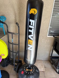 Punching kicking bag