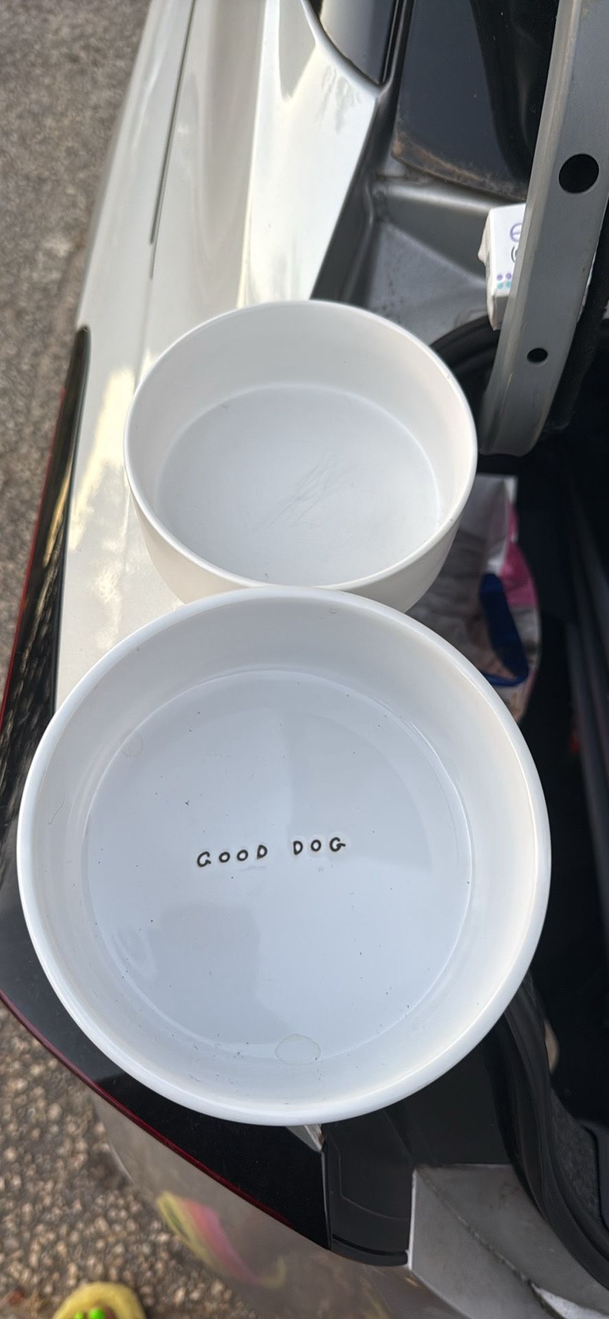 Dog Bowls