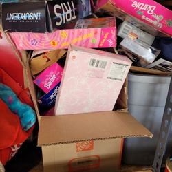 Barbies 20 To 30 Each Bratz Dolls 30 Both Firm All Sold As Is No Returning 