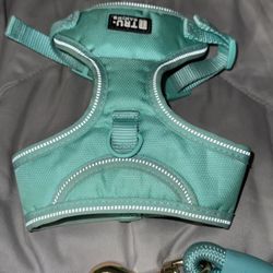 Small Dog Collar With Leash Included