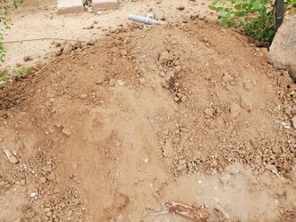 Free Dirt
