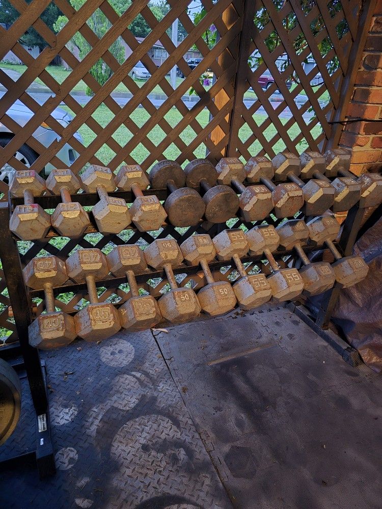 Weight Dumbbells Set