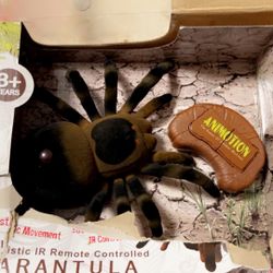 Big Spiders 🕷️