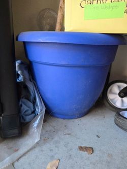 Free plant pots