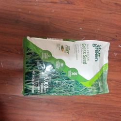 Sta Green Tall Fescue Grass Seed