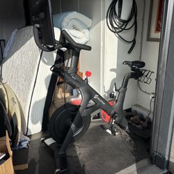 Peloton (Including Shoes, Weights, Water bottles, Mat)