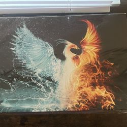 Phoenix Picture