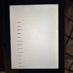 iPad 