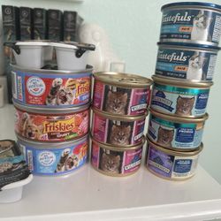 Cat Wet Food  