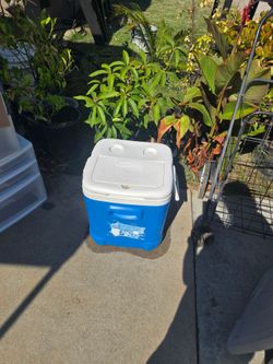 Igloo Blue Hard Cooler