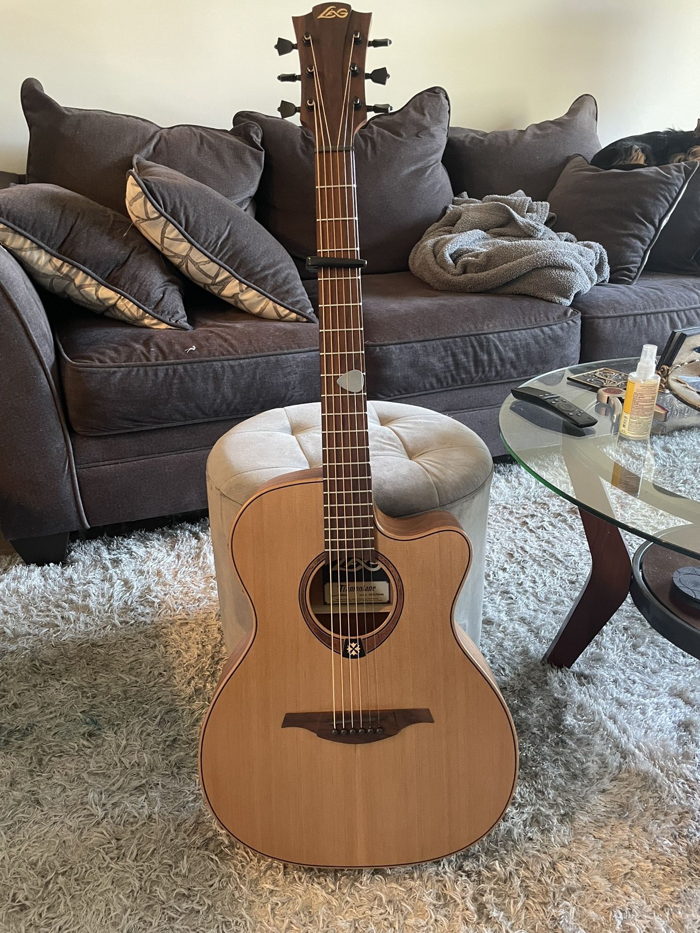 Acoustic Guitar 