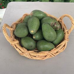 Avocados for sale