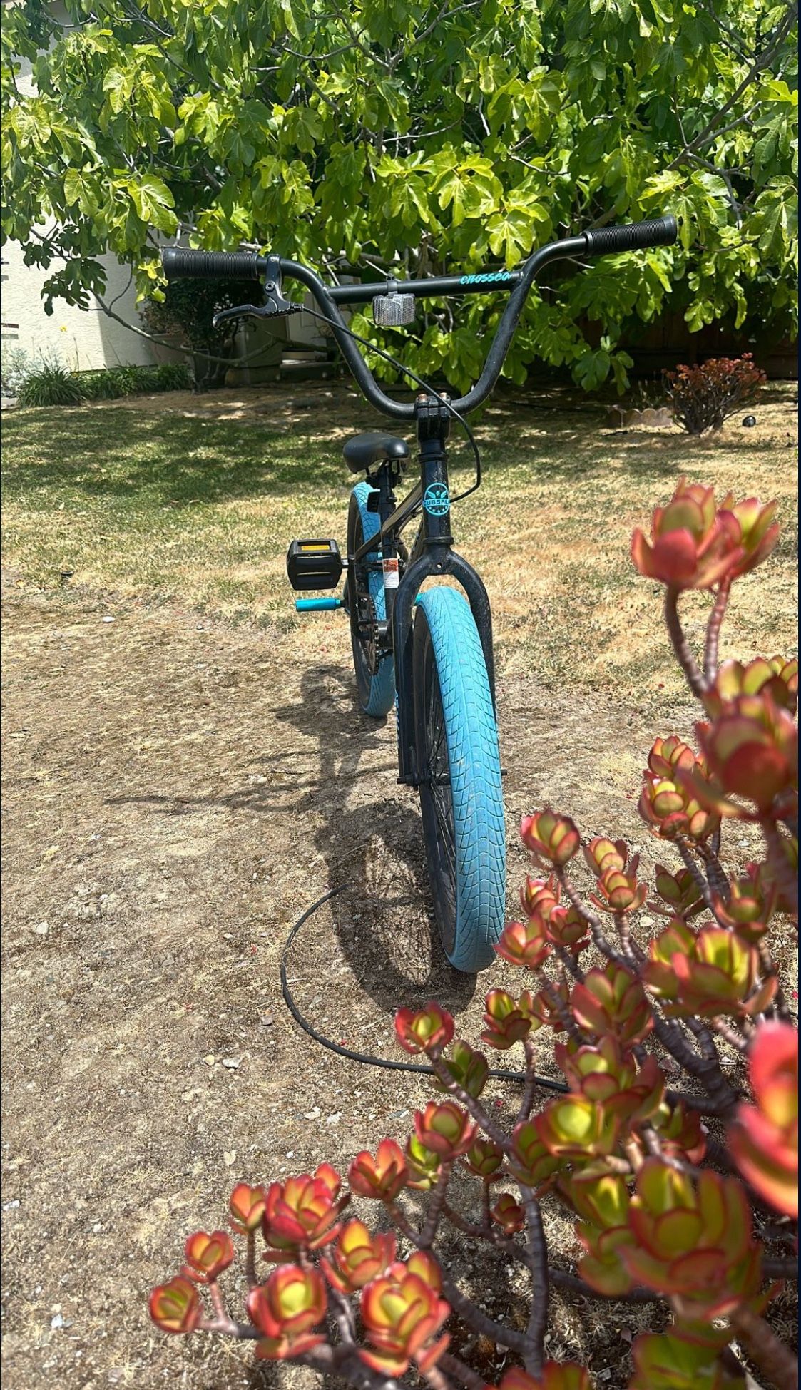 Selling BMX Bike Blue And Pegs That Are Blue 18-20 Inches
