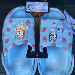 Bluey Kids Shoes