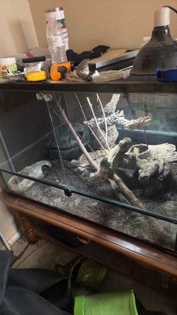 Terrarium