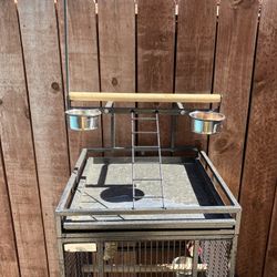 Birds Cage