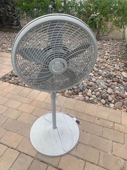 Fan