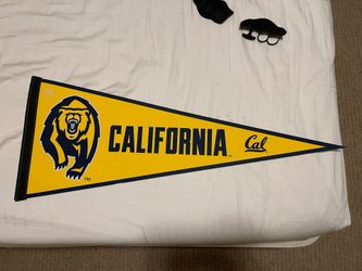 Berkeley College Flag And Banner Decoration