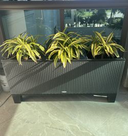Lechuza Self Watering 3 Tiered Planter
