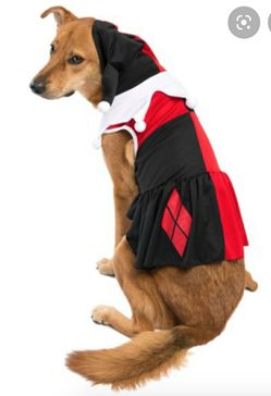 Pet Costumes For Halloween