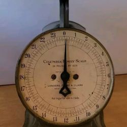Vintage Columbia Family Scale Landers Frary & Clark 24 Pounds Green Rusty 