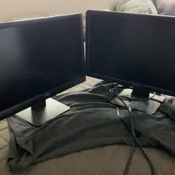 Dell Monitors 