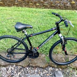 Diamondback Bike 26"Small