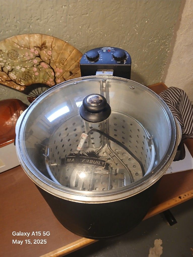 Electric Fryer