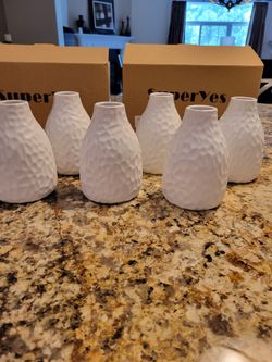 Flower Vases, Set of 6