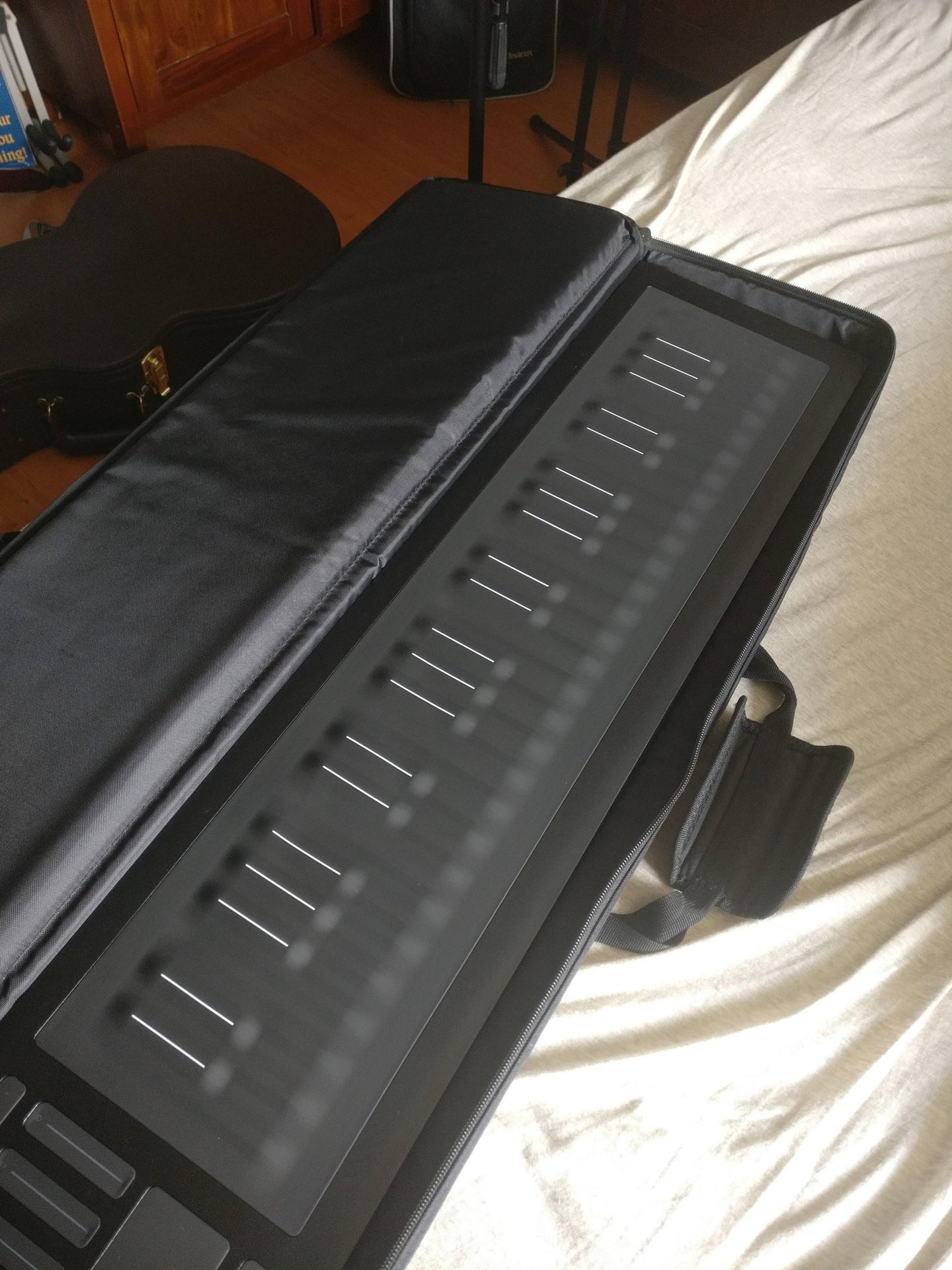 ROLI Seaboard rise 49, like new with case, will consider trades and Best offers. Trying to move fast.
