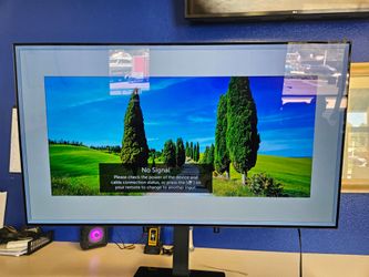 LG OLED screen 55 inch