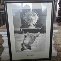 Jack Tinney- A Dogs Life  frame photo