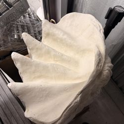 Two Huge Seashell Decor