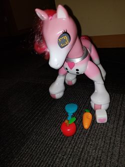 Show pony