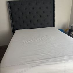 Bed Frame 