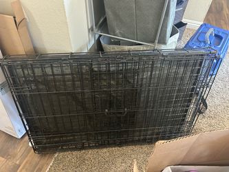 Medium size dog crate (used)