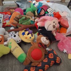 Dog Toys