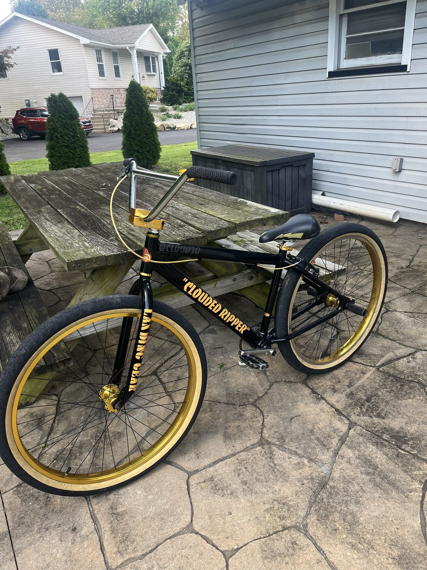 SE Bikes “big ripper” 29in