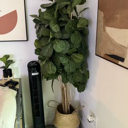 Artificial Fiddle Leaf Trees