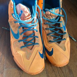 LeBron James Nike Shoes 