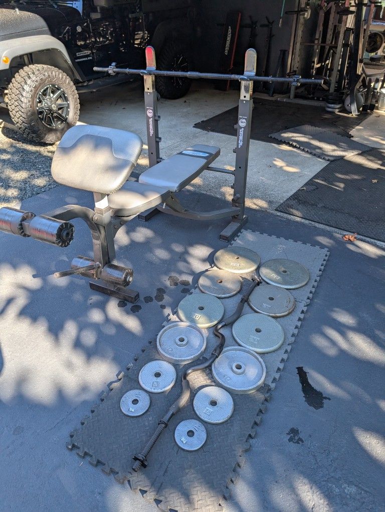 Weight Bench & Weights!