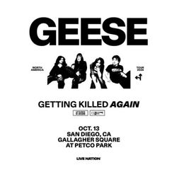 Geese