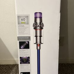 Dyson V11 