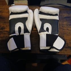 12 Oz Everlast Gloves