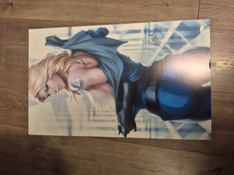 Autographed invisable woman poster