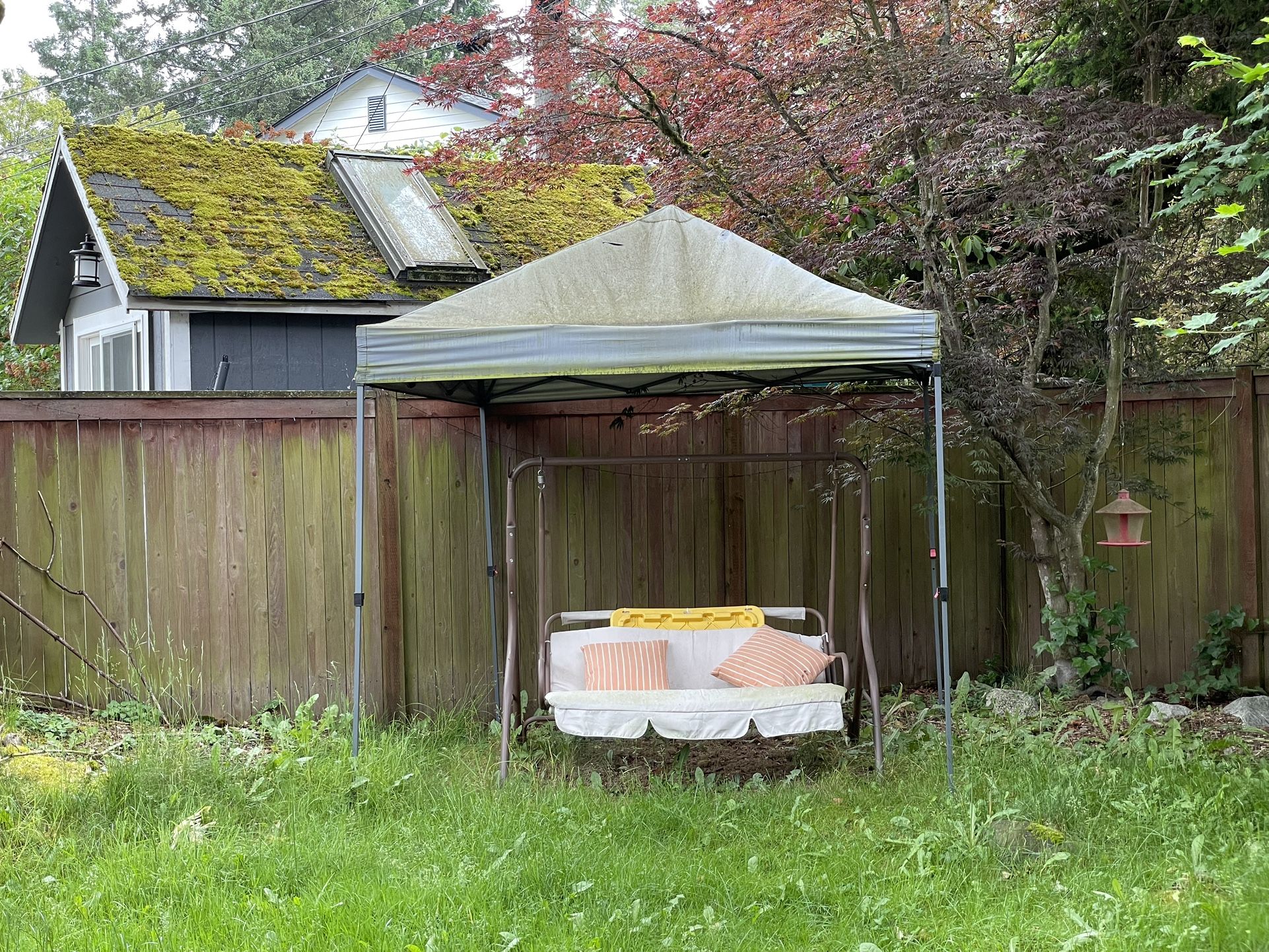 Patio Swing With Tent