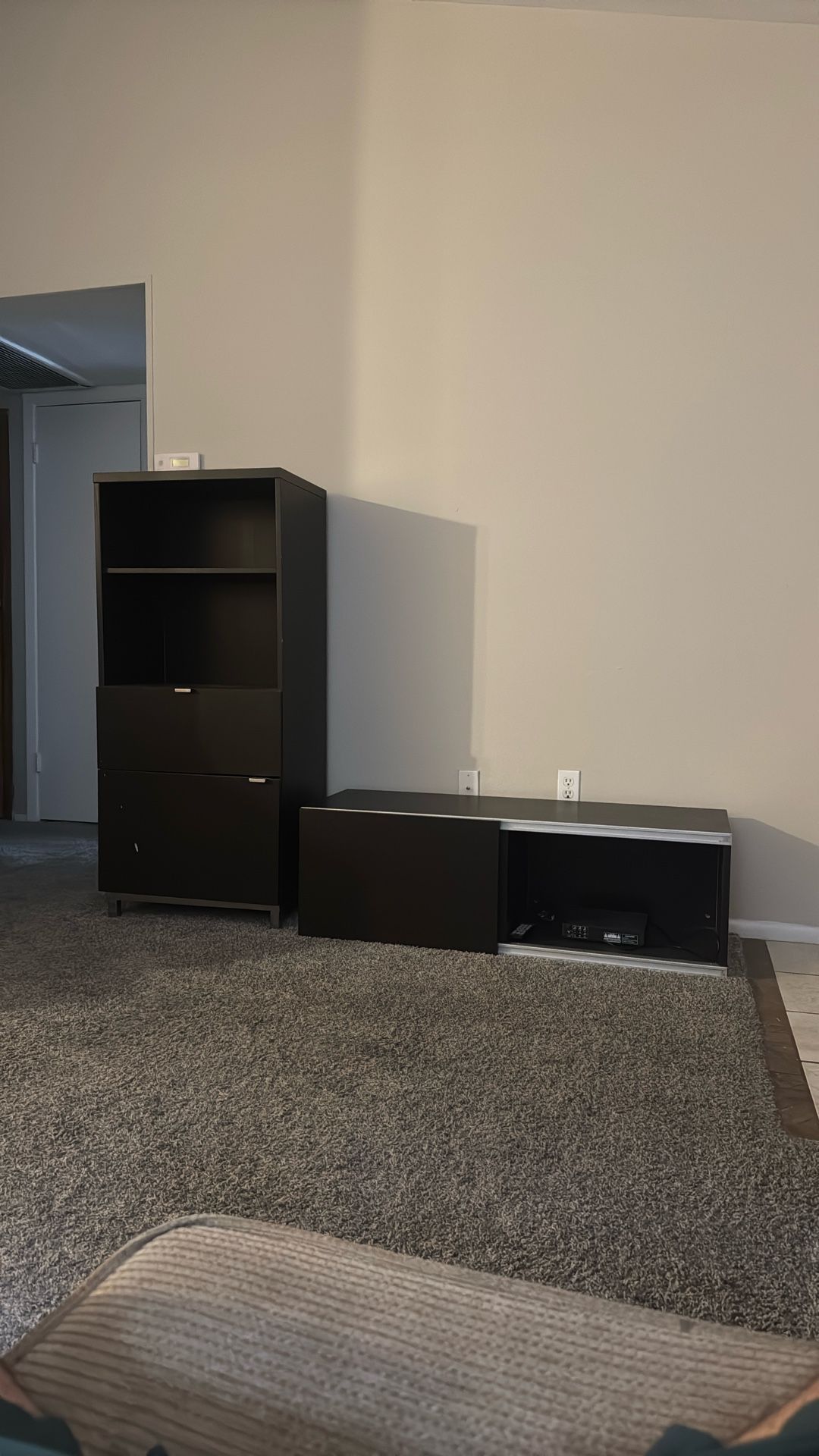TV Stand and Shelf