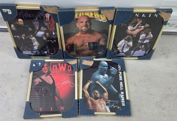 Vtg 1998 WCW 8X10" Framed Picture Lot Undertaker,Sting, Goldberg, Mankind&Stone Cold Steve Austin