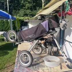 Golf Clubs And Cart 